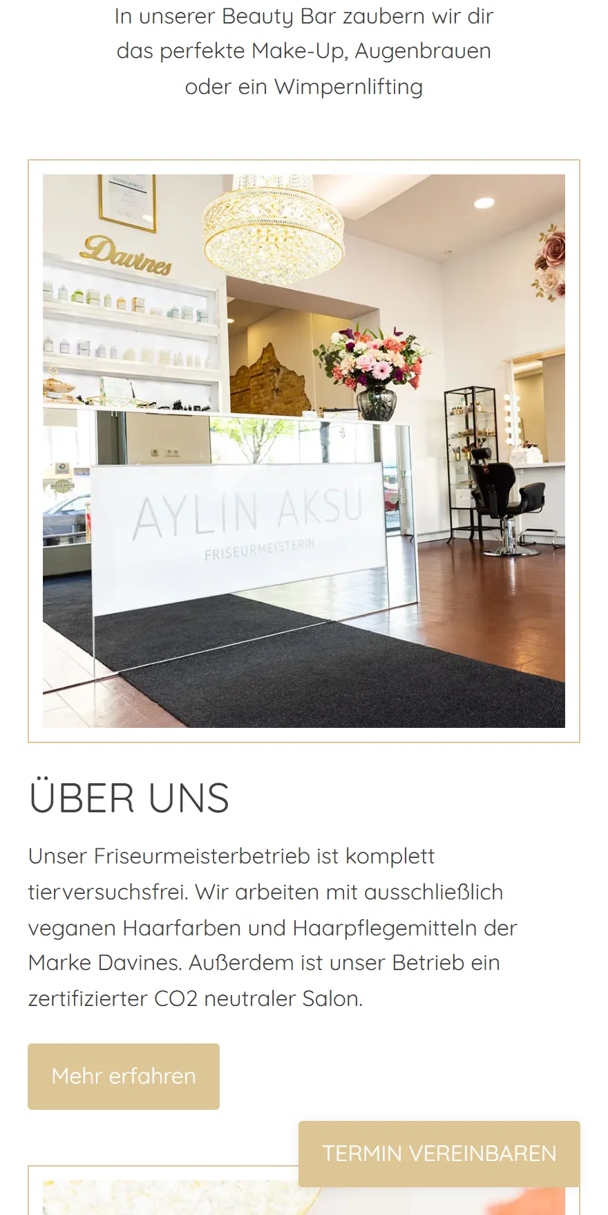 Website von Aylin Aksu – Handyansicht: ÜBER UNS