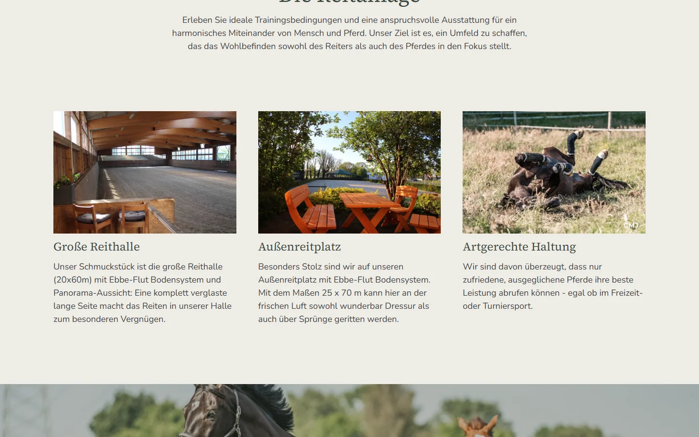 Website von Gut Wietstock Reitanlage – Desktopansicht: Große Reithalle